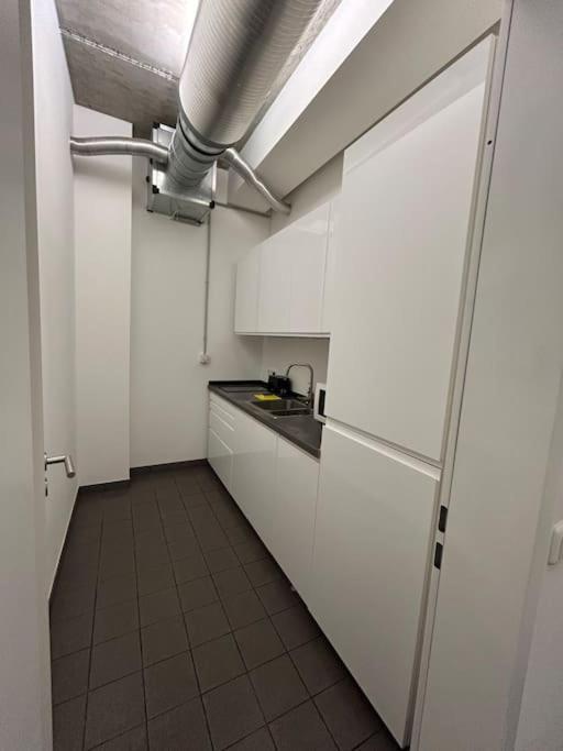 Elbapartment 29 Qm Mit Eigenem Badezimmer Hamburg-Harburg Exteriör bild